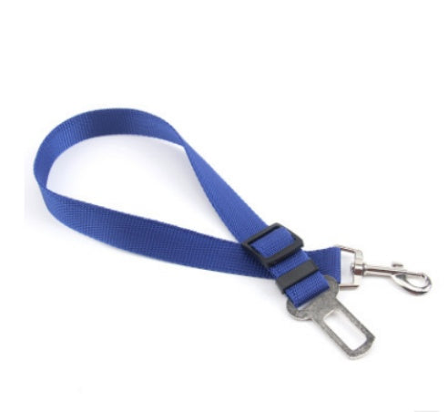Polyester Dog Leash