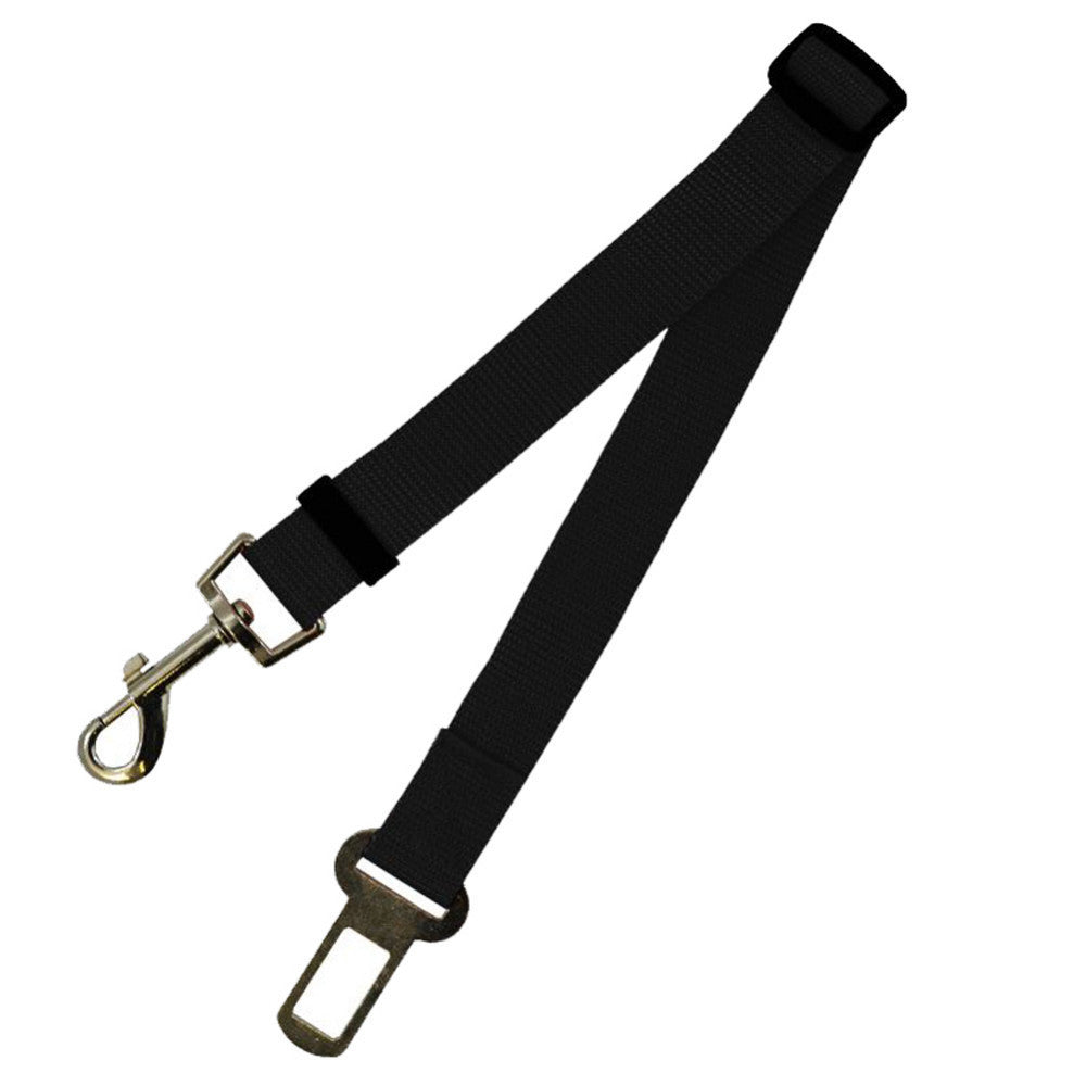 Polyester Dog Leash