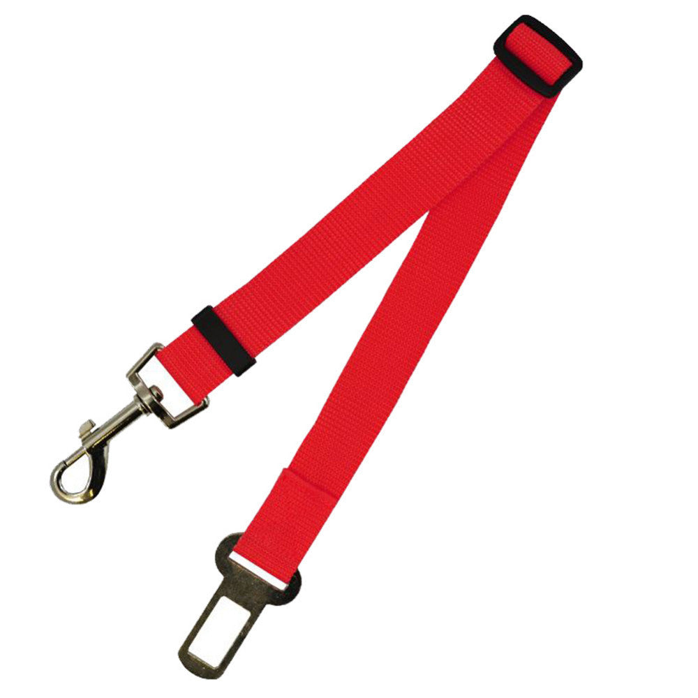 Polyester Dog Leash