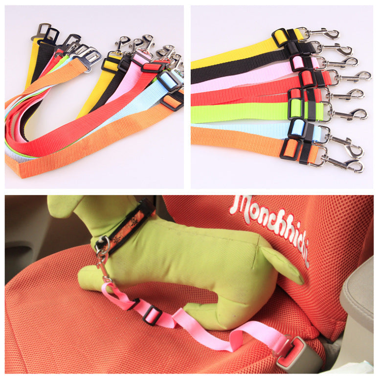 Polyester Dog Leash