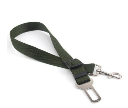 Polyester Dog Leash