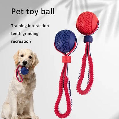 Interactive Dog Toy Ball