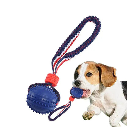 Interactive Dog Toy Ball