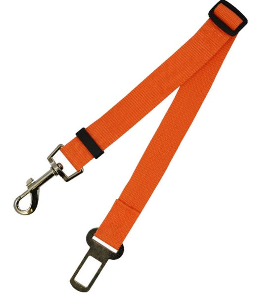 Polyester Dog Leash