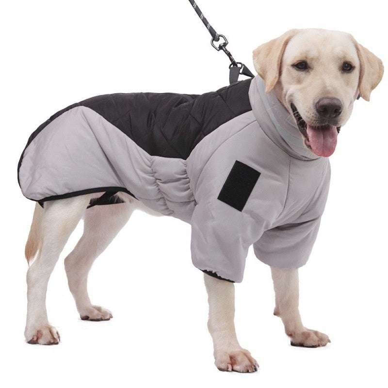 Winter Dog Coat