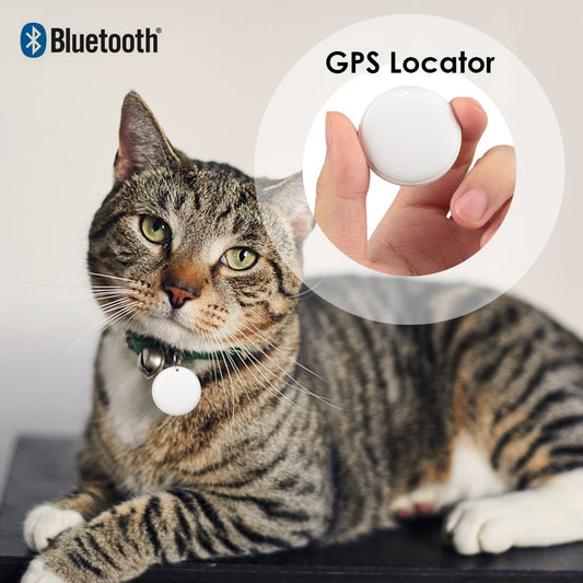 GPS Tracker Keychain