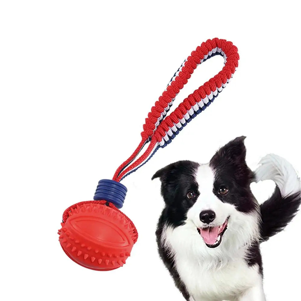 Interactive Dog Toy Ball