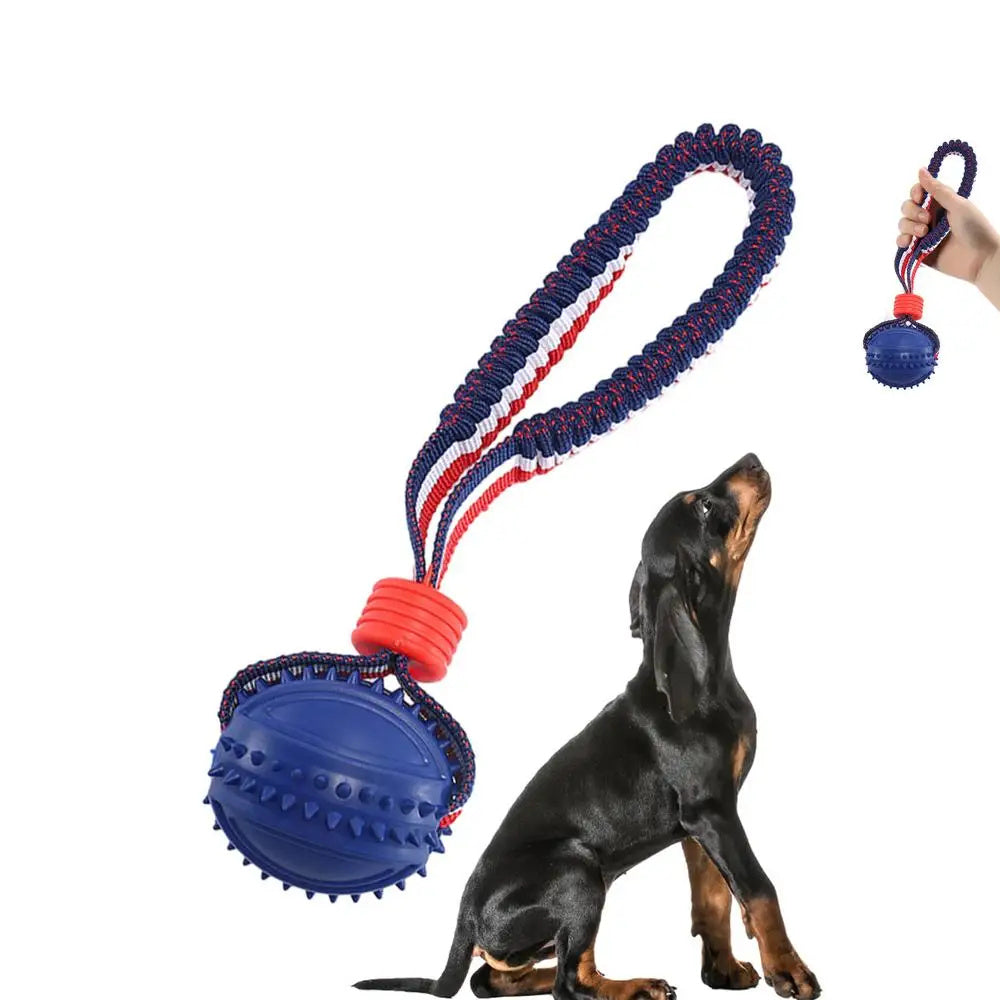 Interactive Dog Toy Ball