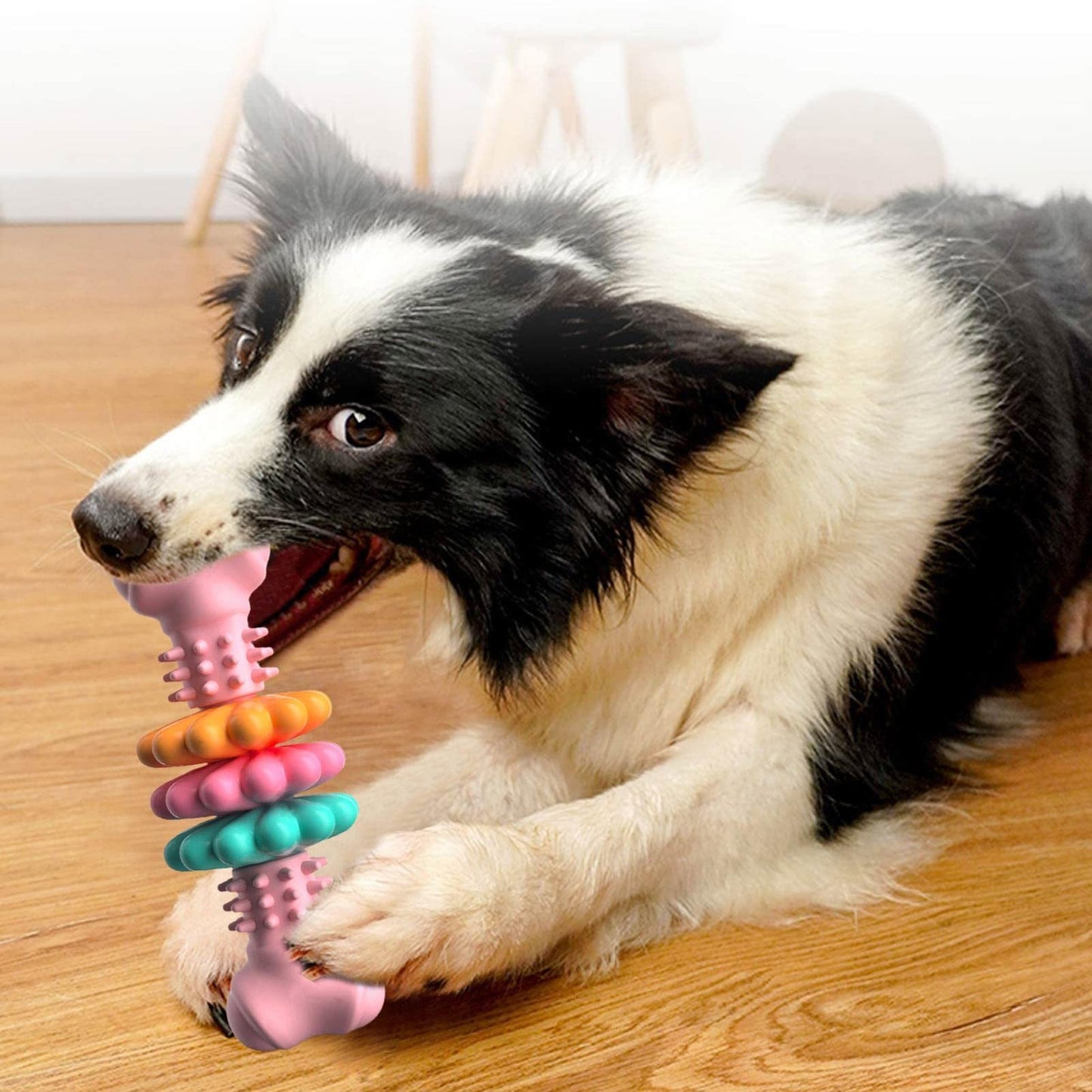 Indestructible Dog Chew Toy