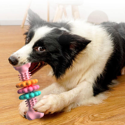 Indestructible Dog Chew Toy